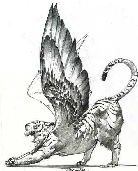 Tiger With Wings, Tiger Sketch, Funky Tattoos, Tiger Drawing, Bone Tattoos, Wings Drawing, Mtg Art, Cute Reptiles, Wings Art