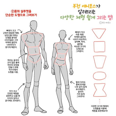 Anatomy Tutorial, Human Anatomy Drawing, Body Drawing Tutorial, Human Anatomy Art, Anatomy Sketches, Body Reference Drawing, Body Anatomy, Poses References, Digital Painting Tutorials