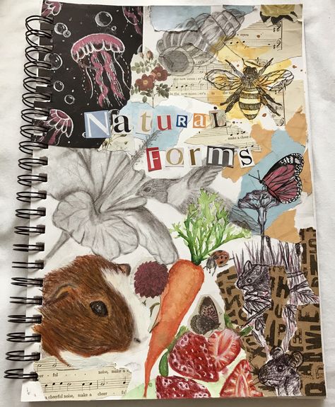 Artist Title Ideas, Sustain Investigation Art, Gcse Art Textiles Sketch Books, Gcse Art Formal Elements Page, Title Page Art A Level, Art Gcse Coursework, Textile Art Journal, Gcse Art Inspiration Page, Our World Art Gcse Title Page