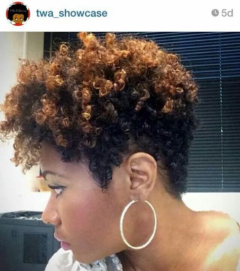 Taper Cut ♡ Cute Short Natural Hairstyles, Short Natural Styles, Afro Look, Cabello Afro Natural, Twa Hairstyles, Tapered Natural Hair, Natural Hair Cuts, Tapered Hair, Tapered Haircut