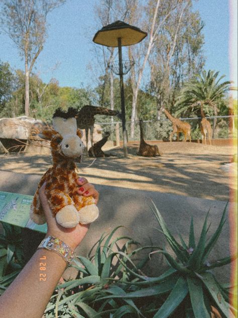 Aesthetic Zoo Pictures, Zoooligst Aesthetic, Zooaligest Aesthetic, San Diego Zoo Aesthetic, Zoo Asthetic Picture, Zoo Instagram Pictures, Zoo Aesthetic Outfit, Zoo Aesthetic With Friends, Zoo Date Aesthetic