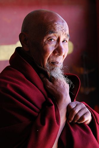 "tibetan monk" | larry he Old Monk, Tibetan Monk, Buddhist Monk, We Are The World, Tibetan Buddhism, Pictures Of People, Dalai Lama, Old People, People Of The World