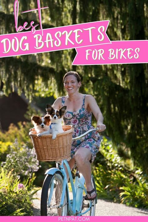 Two dogs riding in a basket on the front of a bike Dog Basket Ideas, Dog Bike Basket, Bike Baskets, Dog Bike, Dog Friendly Vacation, Pet Friendly Vacations, Biking With Dog, Bicycle Basket, Dog Basket