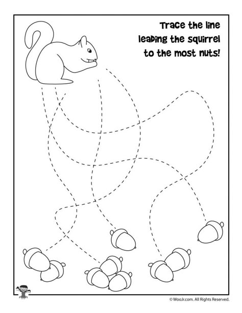 Nuts Activities Preschool, Forest Worksheets Preschool, Nut Activities For Preschool, Forest Animal Worksheets Preschool, Animals In Fall Preschool, Forest Animals Kindergarten, Squirrel Activities For Preschoolers, Forest Animals Preschool, Fall Preschool Worksheets