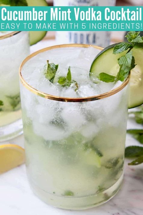 Cucumber Mint Vodka Cocktail, Cucumber Vodka Drinks, Cucumber Drink, Cucumber Cocktail, Vodka Cocktails Easy, Cucumber Vodka, Mint Drink, Mint Cocktails, Vodka Cocktails Recipes