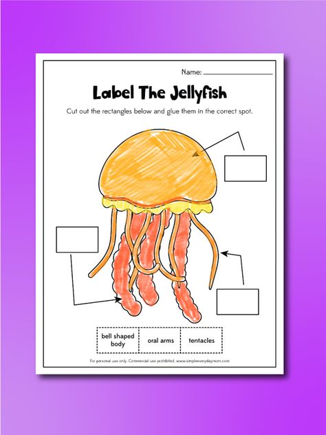 Jellyfish Activities For Kids, Hogwarts Letter Template, Game Design Document Template, Handwriting Practice Worksheets, Printable Preschool Worksheets, Fun Worksheets, Educational Worksheets, Uppercase And Lowercase Letters, Handwriting Practice