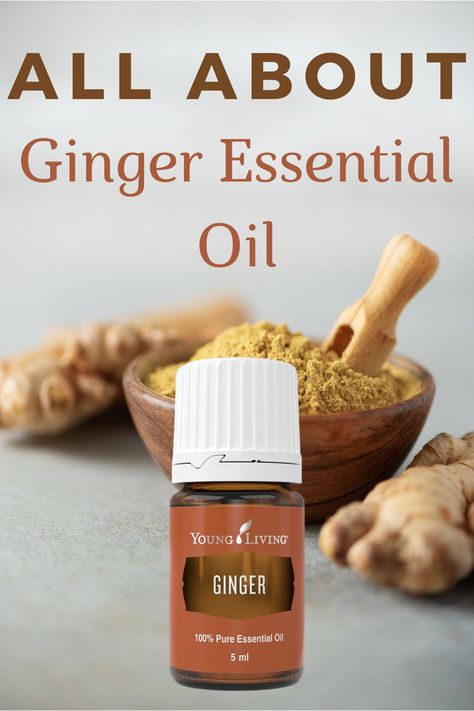 Ginger essential oil has an earthy and spicy aroma. Learn more about Ginger and how I use it. #GingerEssentialOil #essentialoiluses #essentialoilbenefits | EOGuys.com Ginger Uses, Turmeric Essential Oil, Essential Oils For Massage, Ginger Benefits, Ginger Essential Oil, How To Make Oil, Essential Oils Bath, Ginger Oil, Essential Oil Mixes