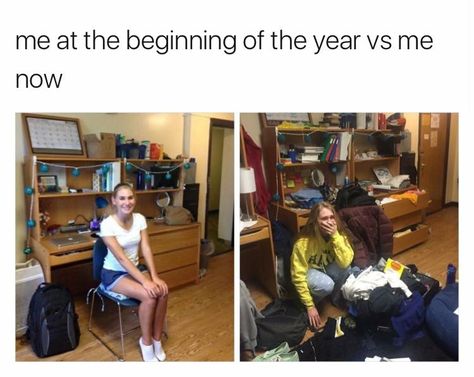 Studying Memes, College Memes, Finals Week, College Humor, School Memes, Funny Tumblr Posts, School Humor, College Life, Tumblr Funny