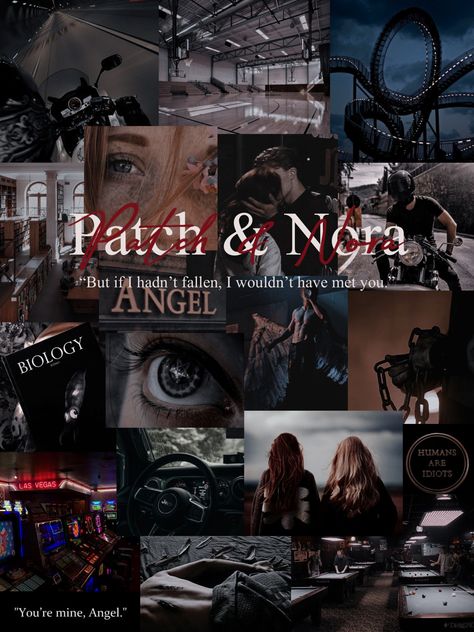 Hush Hush aesthetic Hush Hush Becca Fitzpatrick, Hush Hush Aesthetic, Nora And Patch, Hush Hush Book, Hush Hush Fan Art, Hush Hush Series, Night Train, Fantasy Novel, Reading Journal