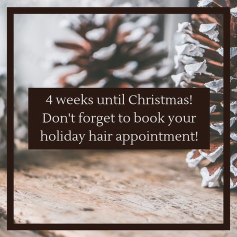 Christmas Hair Appointment, Book Your Holiday Hair Appointment, Now Booking Holiday Appointments Hair, Holiday Hair Appointment Reminder, Prebooking Hair Appointments Holidays, Book Your Holiday Appointments, Christmas Appointments Available Salon, Holiday Hair Appointment Quotes, Christmas Hair Quotes