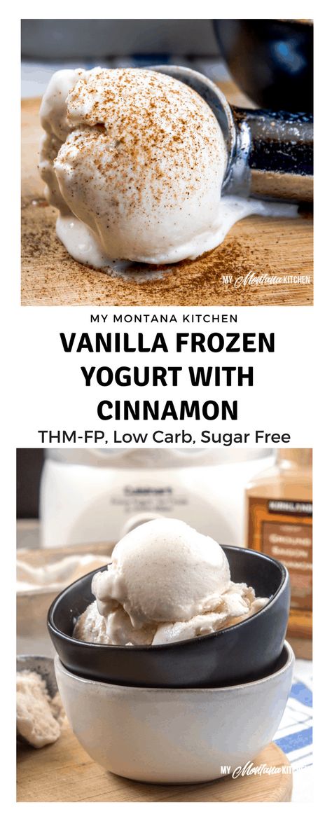 Sweet, tangy, and filled with comforting cinnamon, this easy Vanilla Frozen Yogurt recipe makes a super snack. Filled with protein, but light in calories, it is also a Trim Healthy Mama Fuel Pull Dessert! #trimhealthymama #thm #thmfp #lowcarb #lowfat #sugarfree #frozenyogurt #icecream #cinnamon #vanilla #vanillafrozenyogurt Frozen Greek Yogurt Recipe Healthy, Vanilla Greek Yogurt Recipes Healthy, Greek Yogurt Frozen Yogurt, Recipes With Vanilla Greek Yogurt, Non Fat Greek Yogurt Recipes, Keto Greek Yogurt Recipes, Frozen Greek Yogurt Recipe, Vanilla Frozen Yogurt Recipe, Protein Frozen Yogurt