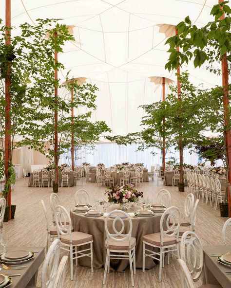 Potted trees give this indoor venue an airy feel. Floral Archway, Tent Decorations, Indoor Ceremony, Wedding Tent, Potted Trees, Marquee Wedding, Southern Weddings, Tent Wedding, Tree Wedding