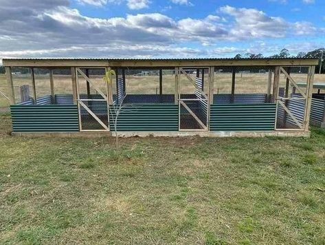 Poultry Breeding Pens, Pig Pen Ideas, Monkey Enrichment, Poultry Farm Buildings, Farm Goals, Chicken Coop Designs Diy, Chicken Breeding, Poultry Farm Design, Chicken Enclosure