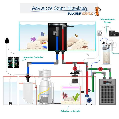 What Is A Sump? - Filtration and Refugiums For Your Aquarium - Bulk Reef Supply 40 Gallon Aquarium, Saltwater Aquarium Setup, Aquarium Sump, Sump Tank, Plumbing Diagram, Sea Aquarium, Marine Tank, Tropical Fish Aquarium, Aquarium Heater