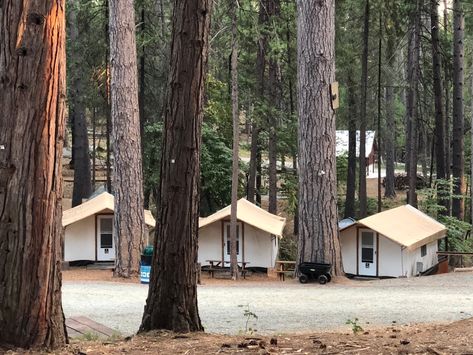 Campground Ideas, Glamping Campground, Owning A Campground, Nevada City California, Ft Wilderness Campground, Diy Cabin, Smokemont Campground, Military Campgrounds, Nevada City