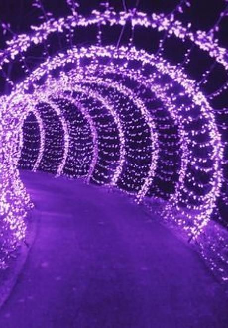 Reception Stage Decor Lavender, Purple Lights, Violet Aesthetic, Purple Table, Purple Vibe, Lavender Aesthetic, Dark Purple Aesthetic, Neon Aesthetic, Purple Walls