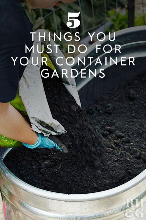 Container gardening is easier than you think. For the best plants possible, all it takes is a little maintenance and extra care to get there. Check out these five basic steps on container gardening to help your gardens last all season. #gardening #gardenideas #containergardening #containergardeningtips #bhg Decorative Container Gardening, Garden Container Ideas Vegetable, Planting In Containers Outdoor, Container Gardening Landscape Front Yards, Plants For Container Gardening, Container Gardening On Deck, Large Container Garden Ideas, Gardening Planters Ideas, Container Garden Set Up