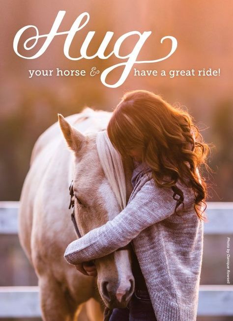 Have you hugged your horse today? Equine Quotes, Horse Meme, Cowgirl Quote, Inspirational Horse Quotes, Horse Riding Quotes, Equestrian Quotes, Riding Quotes, Country Girl Quotes, Funny Horses