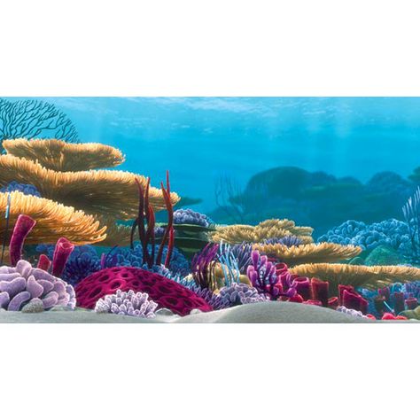 Finding Nemo background my fav Aquarium Pictures, Coral Reef Aquarium, Princesas Disney Anime, Ocean Backgrounds, Scenery Background, Wild Forest, Scenery Pictures, Reef Aquarium, Tanked Aquariums