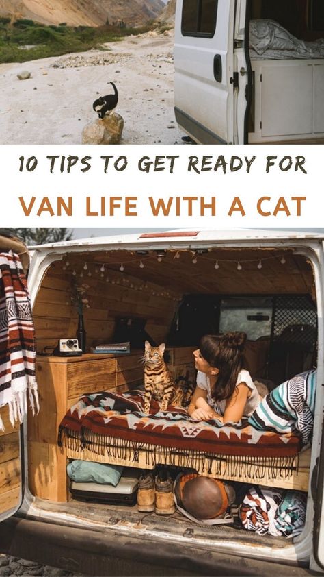 Van Life Reality, Campervan With Cats, Cat In Camper, Best Vans For Van Life, Cozy Van Life, Gamer Van Life, Witchy Van Life, Vanlife Cat, Cat Camping