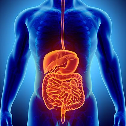 The colon - or large intestine - is an important part of your digestive system. Not only does it help your body to extract some of the nutrients and w Large Bowel, Low Fiber Diet, Foot Reflexology Massage, Cleaning Your Colon, Prevent Constipation, Foot Reflexology, Irritable Bowel, Large Intestine, High Blood Sugar