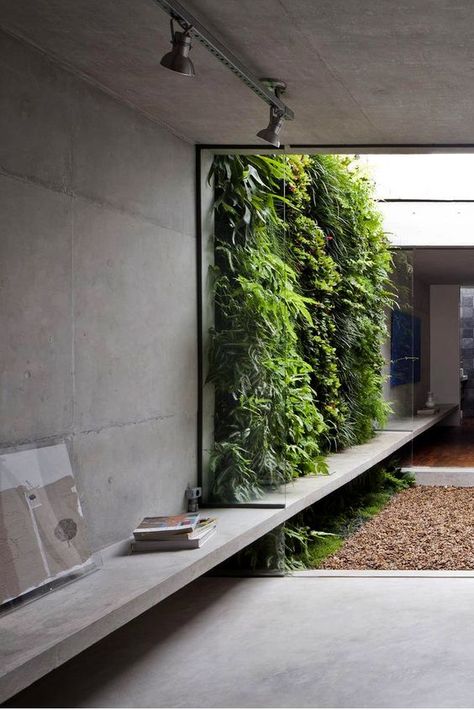 Green Wall Design, Internal Courtyard, Patio Interior, Design Exterior, Green Wall, Outdoor Design, Vertical Garden, 인테리어 디자인, Interior Architecture Design