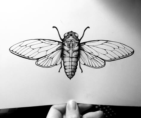 Cicada Drawing, Cicada Tattoo, Underboob Tattoo Designs, Men's Small Tattoo, Bug Tattoo, Insect Tattoo, Micron Pen, Fantasy Tattoos, Beautiful Poetry