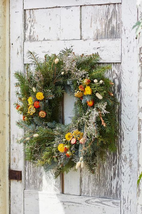 Fresh Noble Fir + Preserved Stem Wreath | Anthropologie Wreath Aesthetic, Grapevine Garland, Handmade Felt Ornament, Poppy Wreath, Cut Flower Farm, Dried Wreath, Christmas Vignettes, Lavender Wreath, Evergreen Wreath