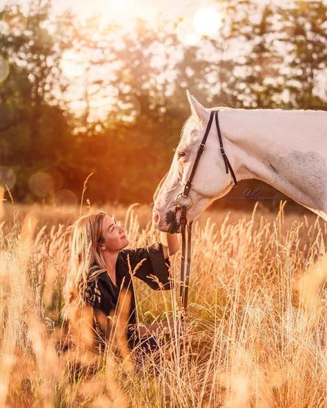 Fall Horse Photoshoot, Horse Photoshoot Ideas, Horse Senior Pictures, Horse Photography Poses, Pictures With Horses, Horse Photoshoot, Too Much Work, Photos Animals, Beautiful Horses Photography