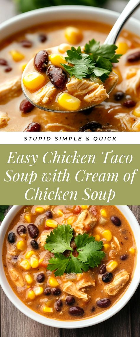 Image for Easy Chicken Taco Soup with Cream of Chicken Soup Soups Using Chicken, Soup With Cream Of Chicken, Creamy Beef Taco Soup, Creamy Chicken Taco Soup, Easy Chicken Taco Soup, Spicy Chicken Soup Recipes, Easy Chicken Taco, Chicken Soup Recipes Homemade, Spicy Chicken Soup