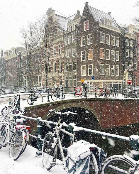 Amsterdam In Christmas, Christmas In Amsterdam Aesthetic, Amsterdam In January, Amsterdam Winter Aesthetic, Amsterdam Aesthetic Vintage, Amsterdam Aesthetic Winter, Amsterdam December, Amsterdam January, Amsterdam In Winter