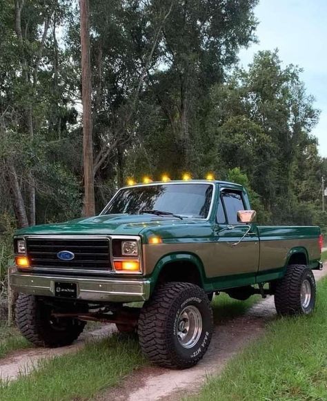 1948 Ford Truck, Ford Trucks For Sale, 1979 Ford Truck, Big Ford Trucks, Country Trucks, Old Dodge Trucks, Dream Trucks, Built Ford Tough, Classic Ford Trucks