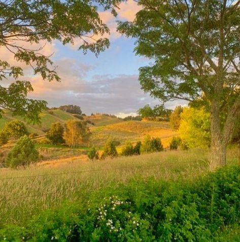 tea with mrs. mourning dove Field Surrounded By Trees, Sunny Grassy Field, Lanscape Photoshoot Wallpaper, Grassy Field Aesthetic, Pretty Countryside, Springtime Aesthetic, Forest Field, Picturesque Landscape, Grass Fields