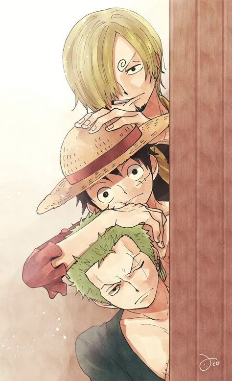 Monster Trio, Luffy Zoro Sanji, Straw Hat Crew, One Piece Photos, One Piece Cartoon, Good Anime Series, Zoro Sanji, Vinsmoke Sanji, One Piece Wallpaper Iphone