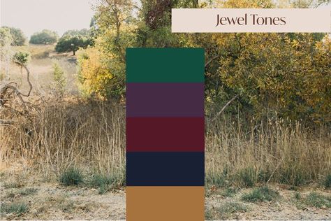 Family Pictures Jewel Tones, Family Photo Jewel Tones, Jewel Tone Fall Outfits, Jewel Tones Family Photos, Jewel Tone Photo Shoot, Jewel Tone Family Pictures Outfits, Jewel Tone Family Photos, Purple Family Pictures, Pictures With Sunflowers