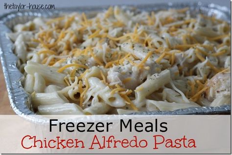 Freezer Meals Chicken, Freezer Meal Ideas, Meals That Freeze Well, Freeze Meals, Persnickety Plates, Freeze Ahead Meals, Meals Chicken, Chicken Freezer Meals, Freezer Dinners