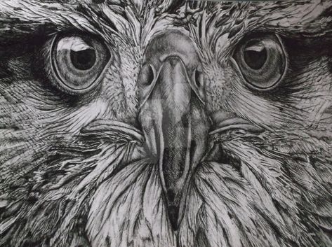 GCSE Art eagle in fineliner by Its-real-to-us.deviantart.com on @DeviantArt Gcse Sketchbook, Alevel Art, Zoo Art, Natural Form Art, Graffiti Pictures, Animal Art Projects, Gcse Art Sketchbook, Painting Canvases, Amazing Street Art