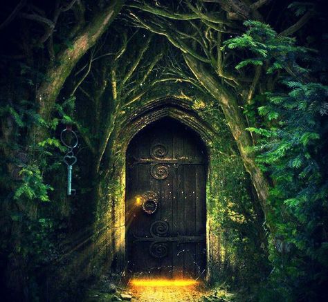 Enchanted forest door Secret Door, Open Door, Fantasy Places, Fairy Land, Magical Places, Enchanted Forest, Fantasy Landscape, Fantasy World, Secret Garden