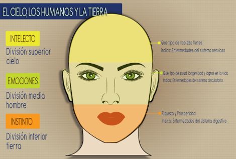 Lectura de rostro, conoce cómo son las personas con solo verlas - Grupo Milenio Reading Body Language, Face Lines, Body Cleanse, Lie To Me, Psychology Facts, Natural Medicine, Body Language, Personal Branding, Reiki