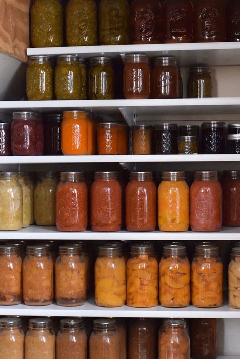 Canning Storage, Autumn Farm, Build A Garden, Fermenting Weights, Freezer Organization, Root Cellar, Pressure Canner, Fruit Leather, Kitchen Skills