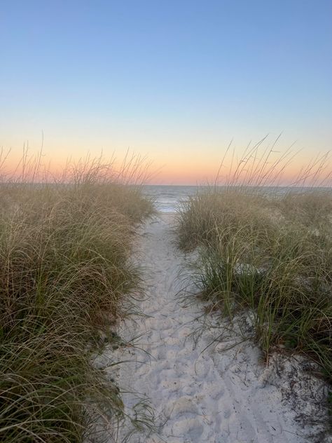 Beach Grass Aesthetic, Sauble Beach Aesthetic, Green Beachy Aesthetic, Shelley Core, Beach Green Aesthetic, Green Beach Aesthetic, Green Aesthetic Beach, Soft Beach Aesthetic, Beach Widgets