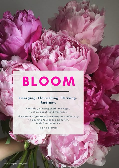 2020 Word for the Year.  Emerging. Flourishing. Thriving. Radiant.  Healthful, growing youth and vigor,  to show beauty and freshness. An opening to higher perfection: buds into blossoms. Bloom Word, In Bloom, Blooming Into 30, Blossom Quotes, Bloom Quotes, Floral Cards Design, Show Beauty, Spoken Words, Month Flowers