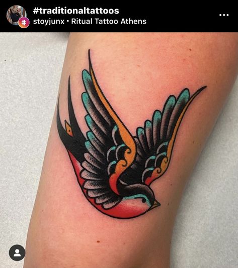 Traditional Swallow Tattoo, Traditional Swallow, Swallow Tattoos, Sparrow Tattoo Design, Swallow Tattoo Design, Robin Tattoo, Traditional Tattoo Inspiration, Traditional Tattoo Flowers, American Traditional Tattoo Ideas