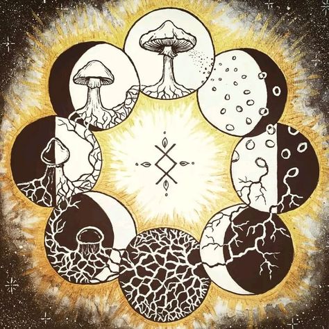 Mushroom circle of life Amanita Tattoo, Kindergarten Science Projects, Mushroom Circle, Goddess Images, Happy Full Moon, Fungi Art, Mushroom Wallpaper, Sacred Science, Mushroom Tattoos