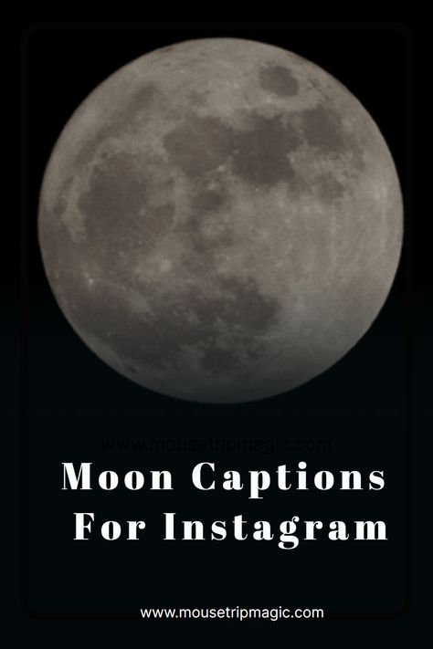 Discover the magic of the moon through the lens of your camera and unleash your creativity with our collection of Moon Captions for Instagram. From mystical phrases to playful puns, these captions will help you create mesmerizing posts that are sure to captivate your audience. Supermoon Quotes, Moon Insta Captions, Full Moon Captions, Moon Phrases Quotes, Phrases Of The Moon, Moon Quotes Short, Moon Captions Instagram, Moon Sayings, Moon Captions