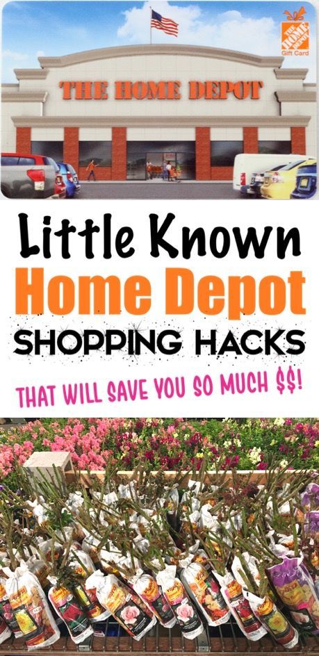 Garden Ideas for your Backyard Flower and Vegetable Gardens!  How to Save BIG with these Home Depot Shopping Hacks for Flowers, Vegetables, Trees, and your favorite House Plants! Organization Ideas On A Budget, Secret Shopper, Backyard Nursery, Home Depot Gift Card, Frugal Gardening, Hacks To Save Money, Garage Organization Ideas, Frugal Girls, Loft Furniture