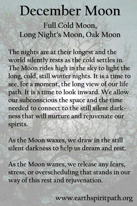 December Full Moon Ritual, December Moon, December Full Moon, Moon Gemini, Full Moon Names, Moon Madness, Moon Chart, Moon Meaning, Manifest Success