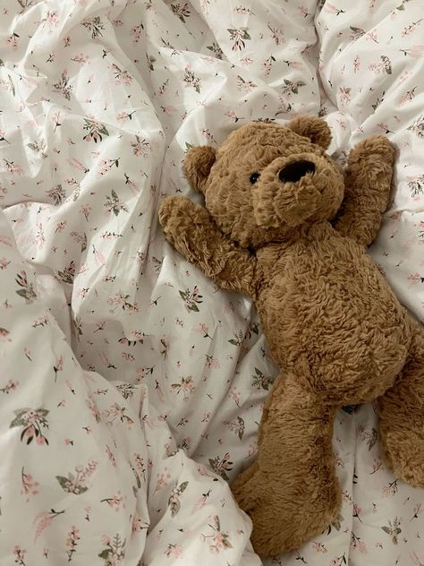 Teddy Bear Jellycat, Jellycat Teddy Bear, Plushies Aesthetic Wallpaper, Fall Stuffed Animals, Bear Plushie Aesthetic, Jelly Cat Bear, Stuffy Aesthetic, Cute Teddy Bear Aesthetic, Teddy Bears Aesthetic