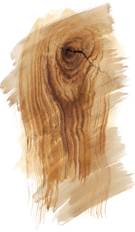 Osez le faux bois ! - M6 Deco.fr Wood Texture Seamless, Interior Design Drawings, Texture Drawing, Interior Design Sketches, Interior Sketch, Industrial Design Sketch, Architecture Sketch, Wood Texture, Texture Painting