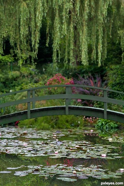 Monet Bridge over Water Lilies - It's neat to stand on the bridge he painted!  A FABULOUS place to go!!!  Even in the rain. :) Monet Garden Giverny, Lily Pictures, Claude Monet Art, Monet Art, Monet Paintings, Beautiful Images Nature, Lily Pond, Water Lilies, Green Aesthetic